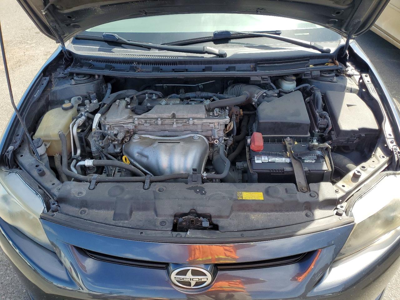 Scion TC Base