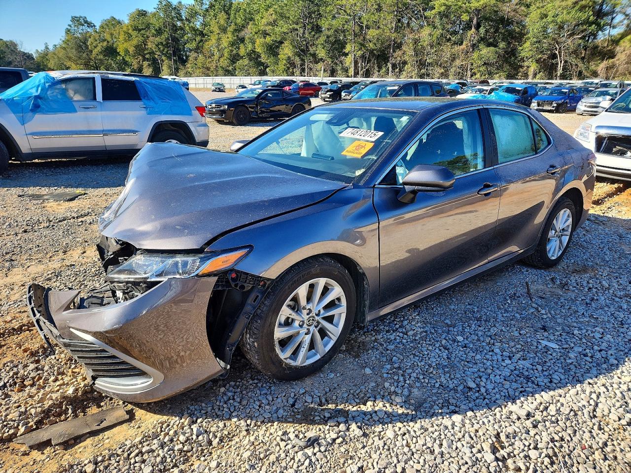 Salvage Toyota Camry Image