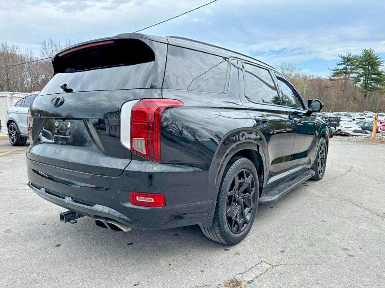 Hyundai PALISADE Calligraphy