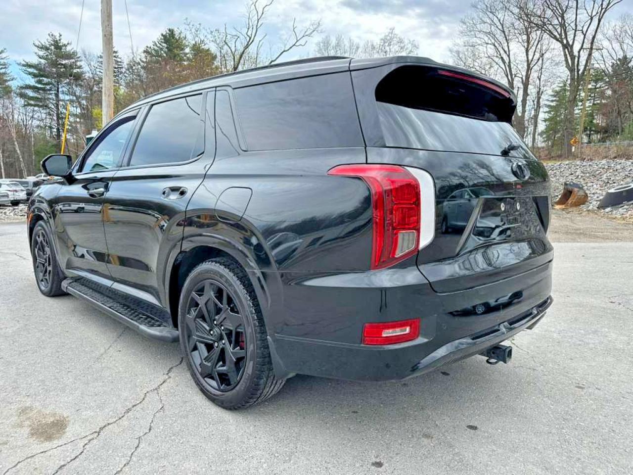 Hyundai PALISADE Calligraphy