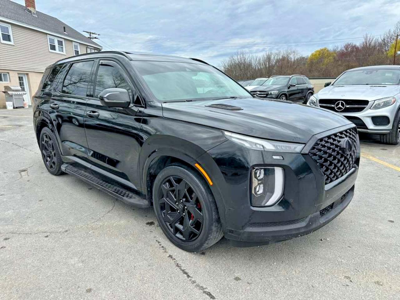 Hyundai PALISADE Calligraphy