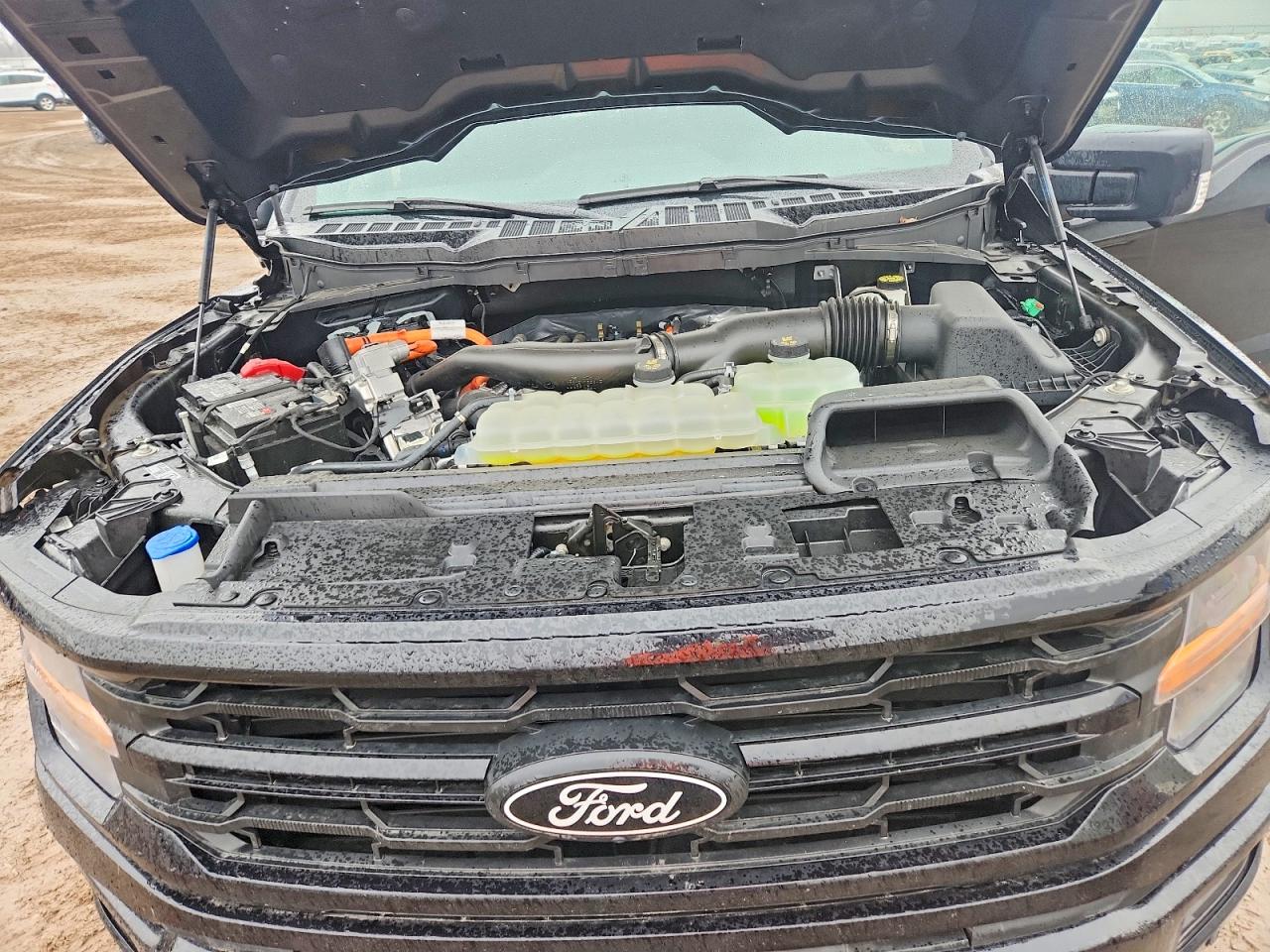Ford F-150 Xlt
