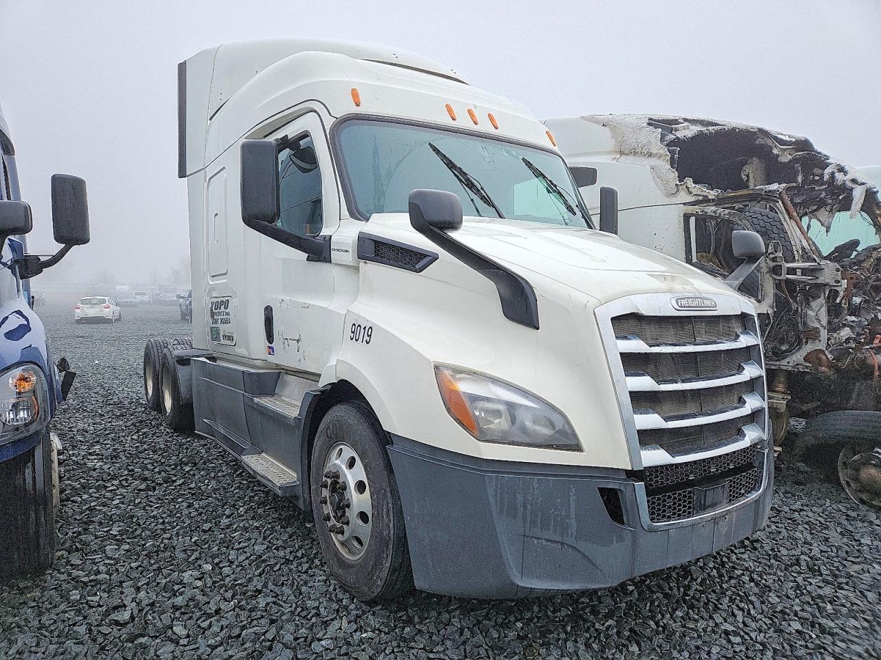 Salvage Freightliner Cascadia 116 Image