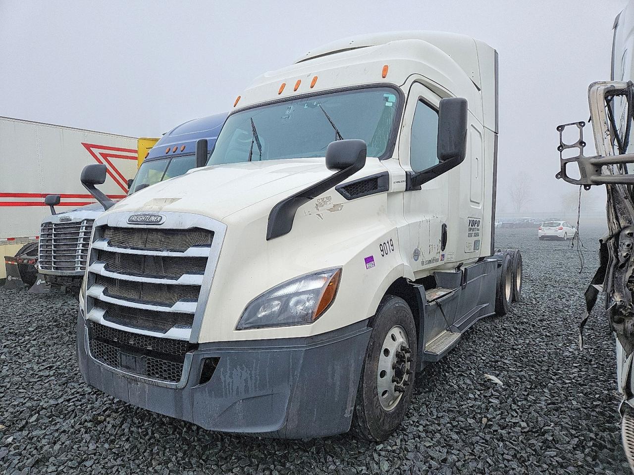 Freightliner Cascadia 116