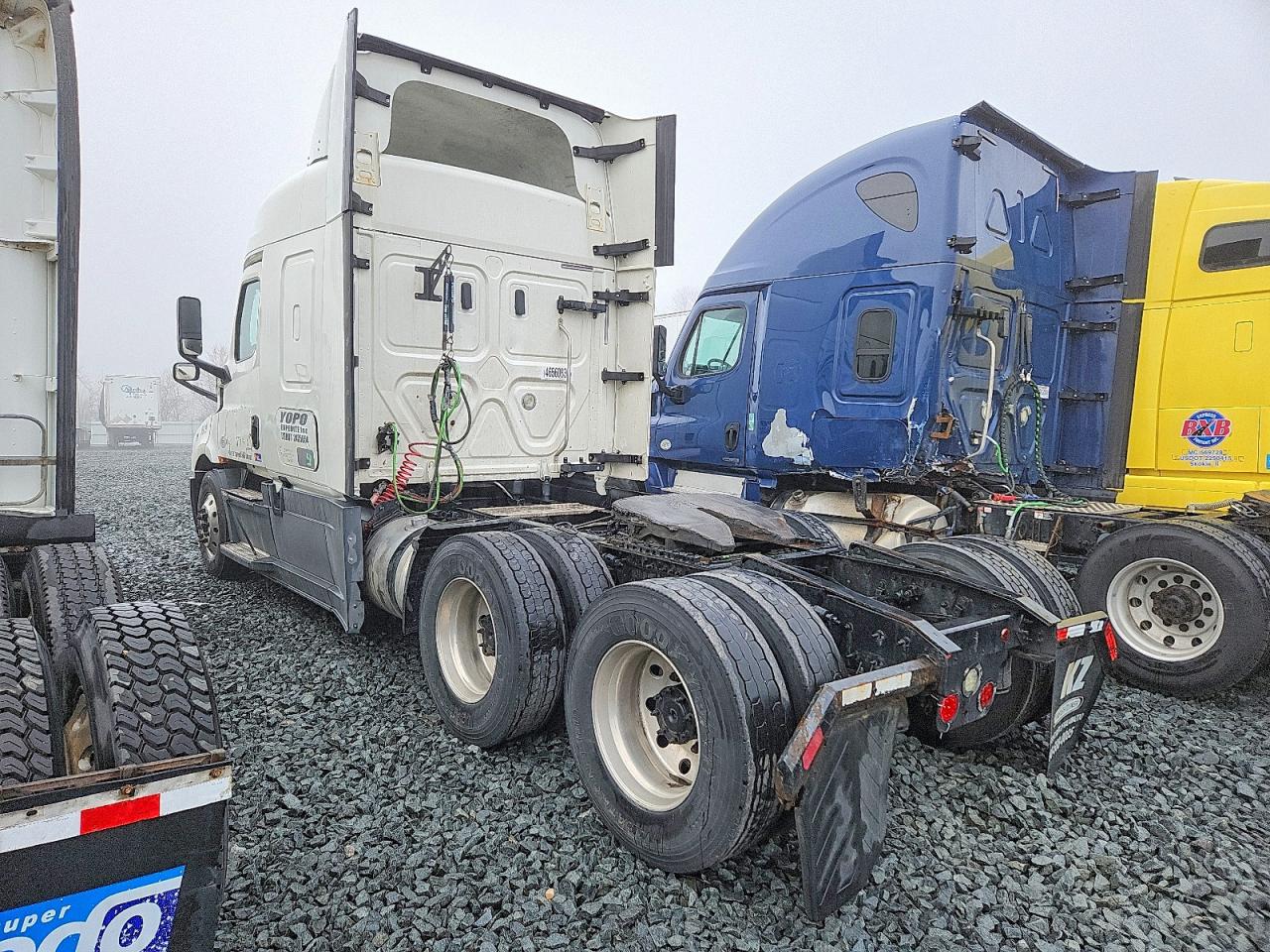 Freightliner Cascadia 116