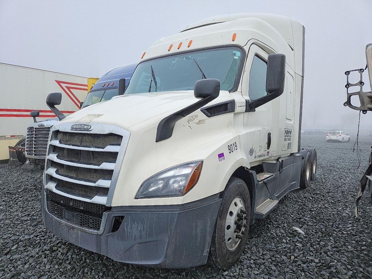 Freightliner Cascadia 116