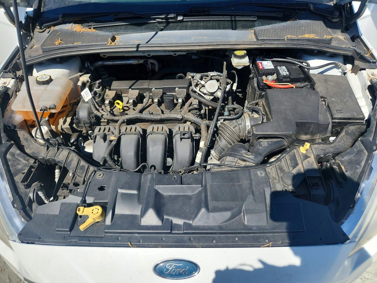 Ford Focus Sel