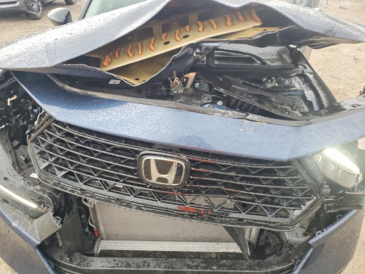 Honda Accord Se