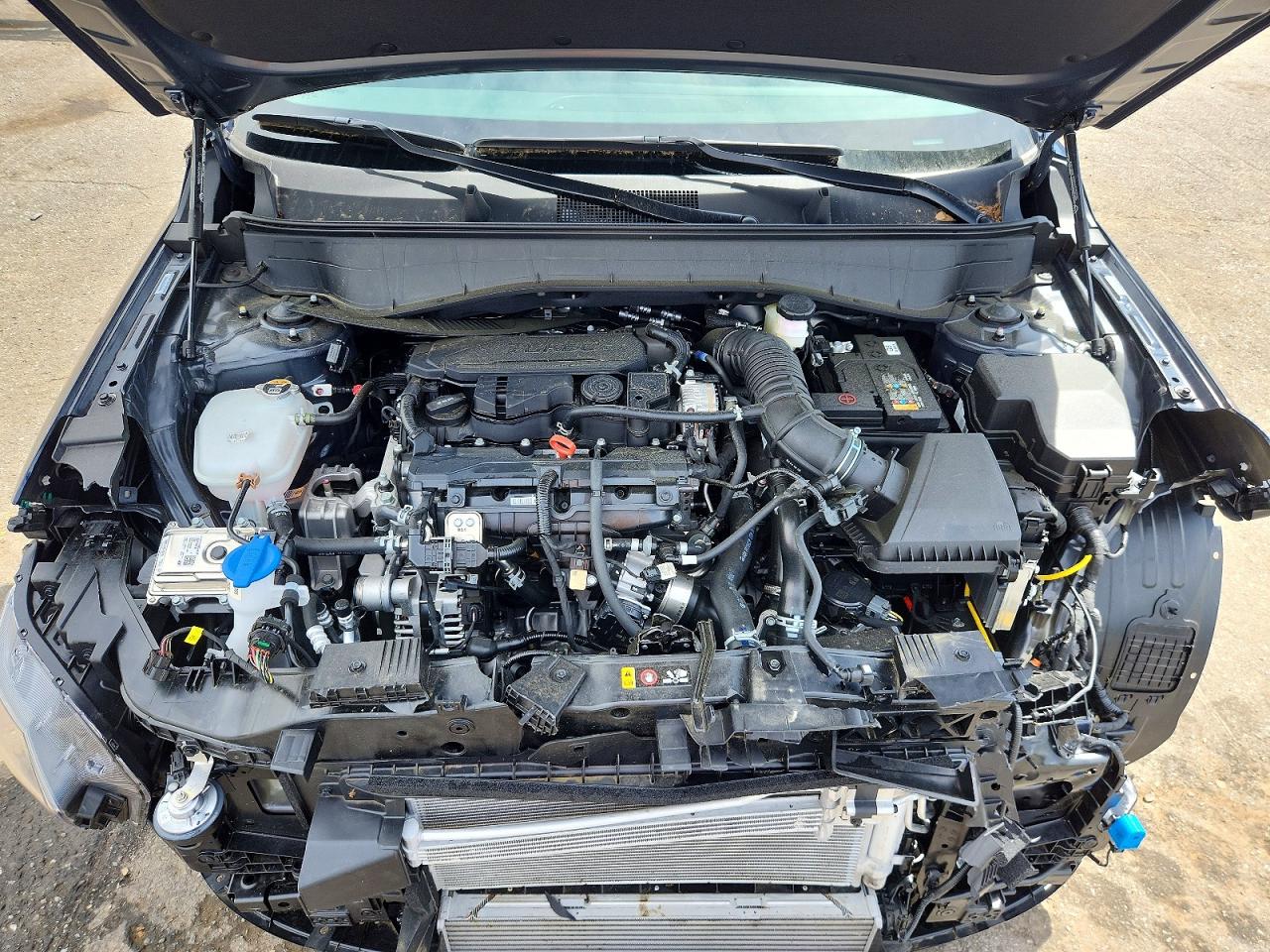 Hyundai KONA Limited