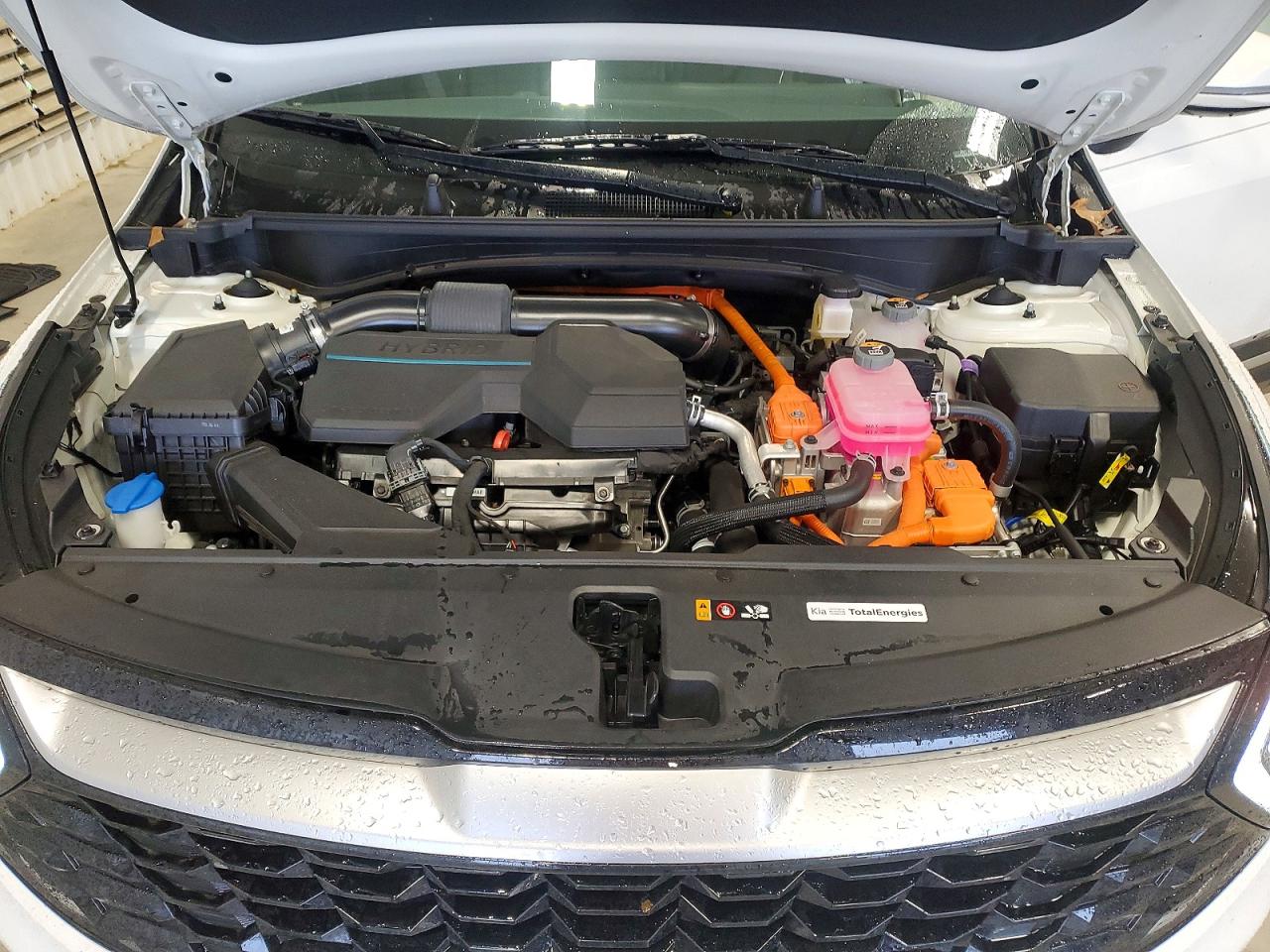 Kia Sportage Ex