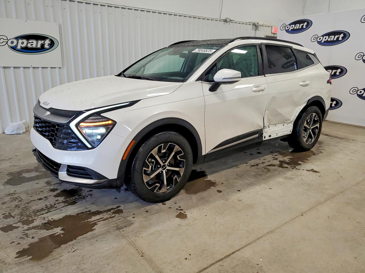 Salvage Kia Sportage Image