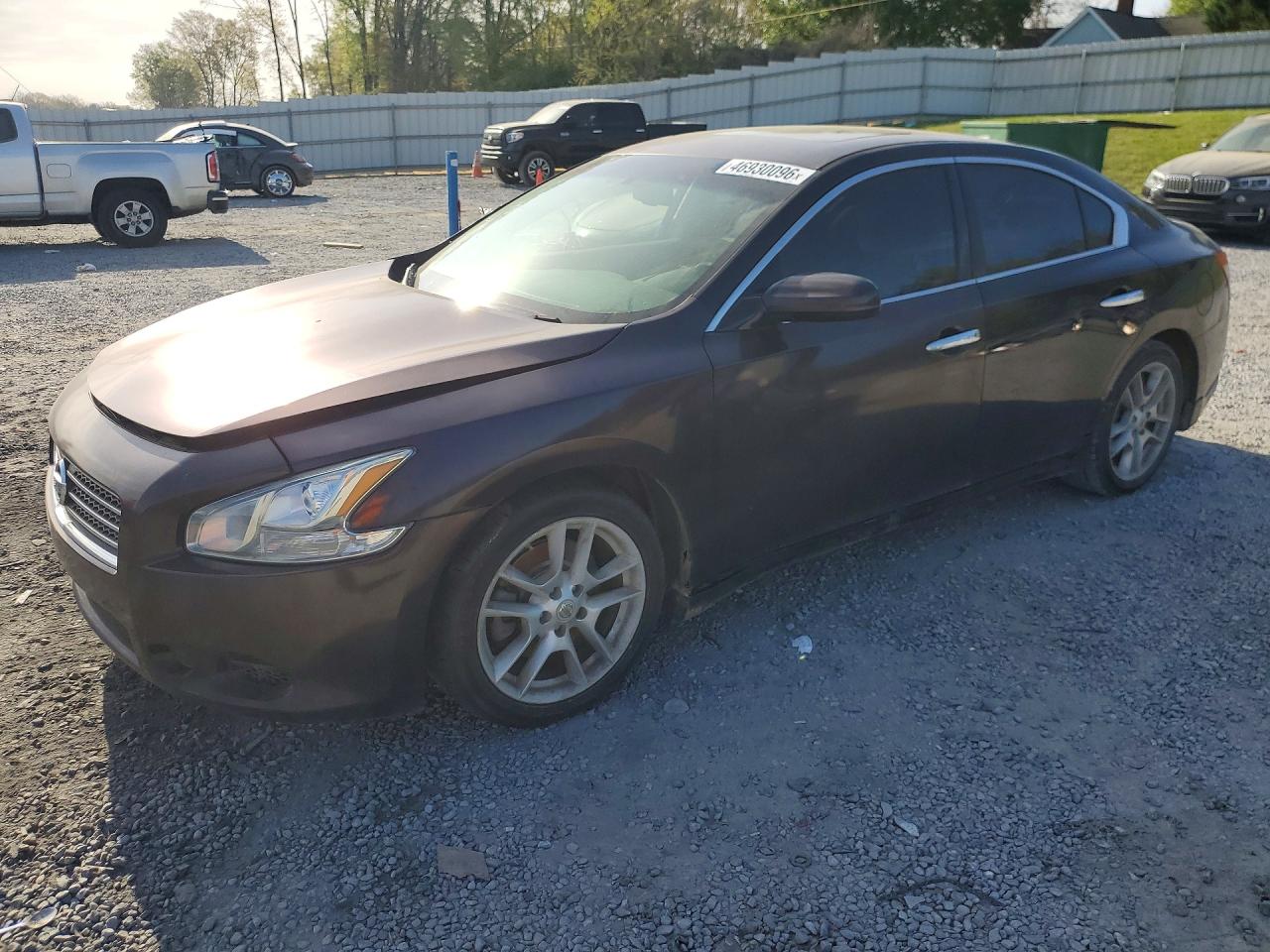 Salvage Nissan Maxima Image