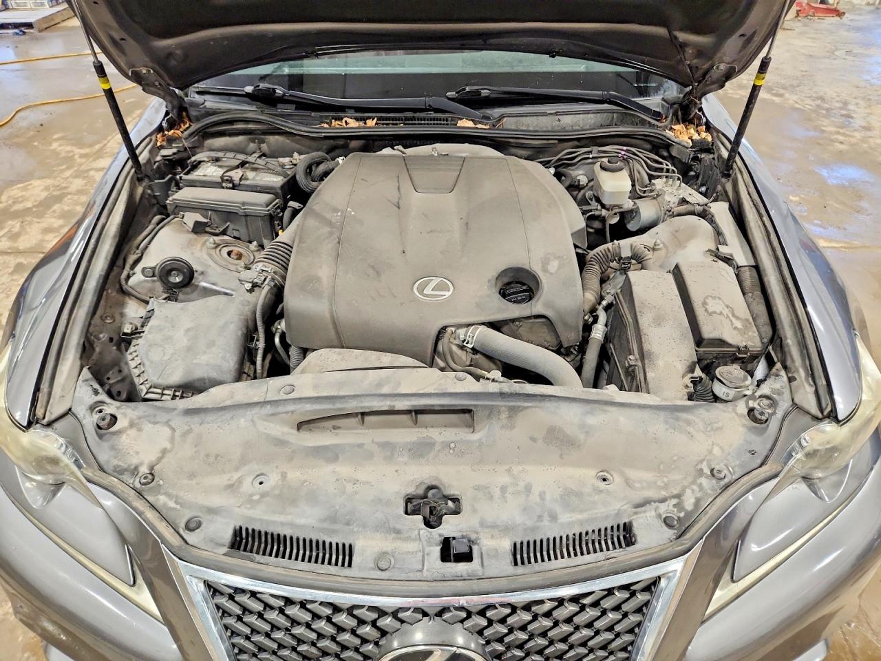 Lexus Is Base