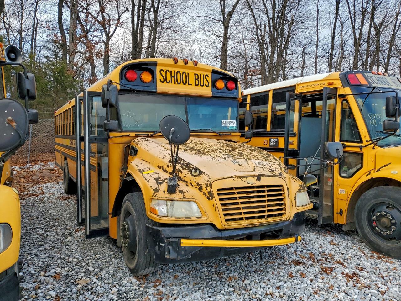 Salvage Blue Bird School Bus Image