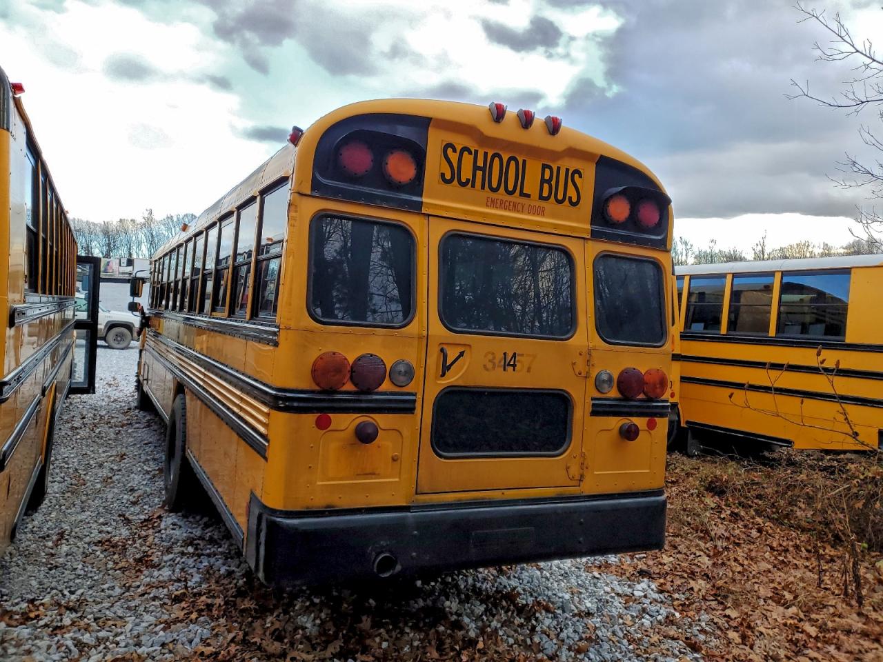 Blue Bird School Bus