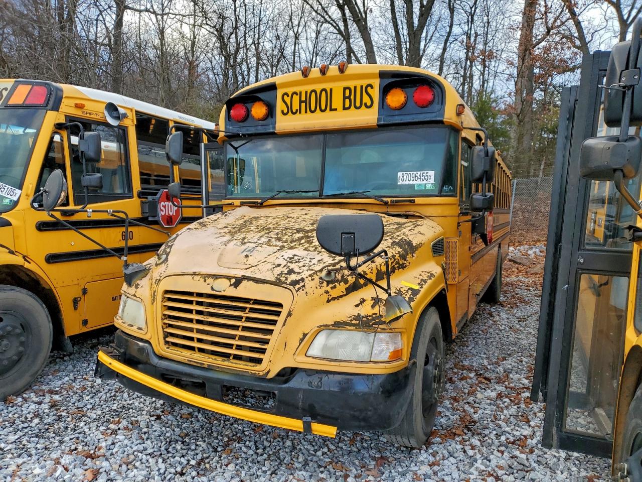 Blue Bird School Bus