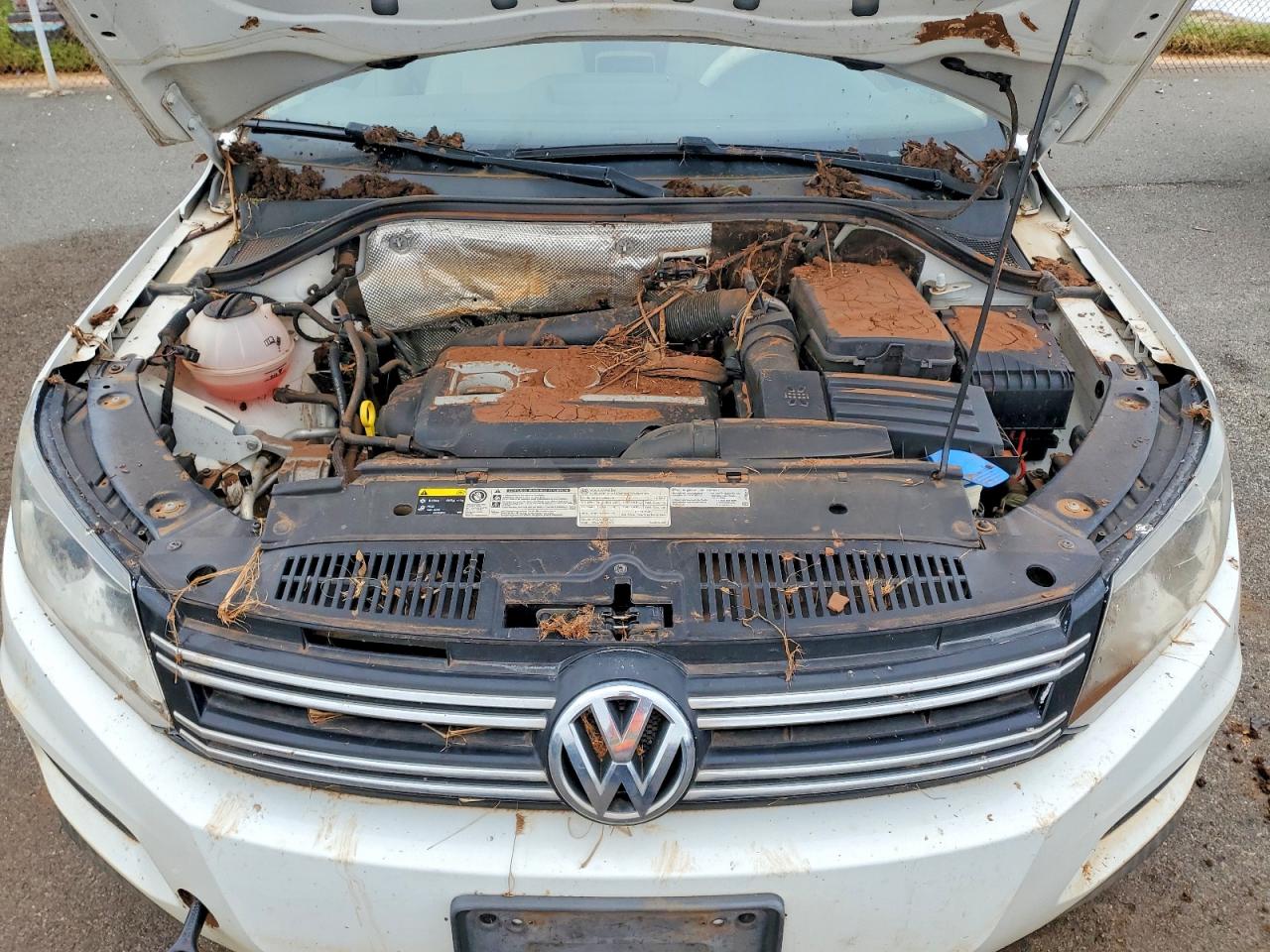 Volkswagen Tiguan S