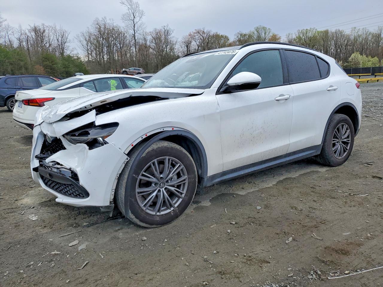 Salvage Alfa Romeo Stelvio Image