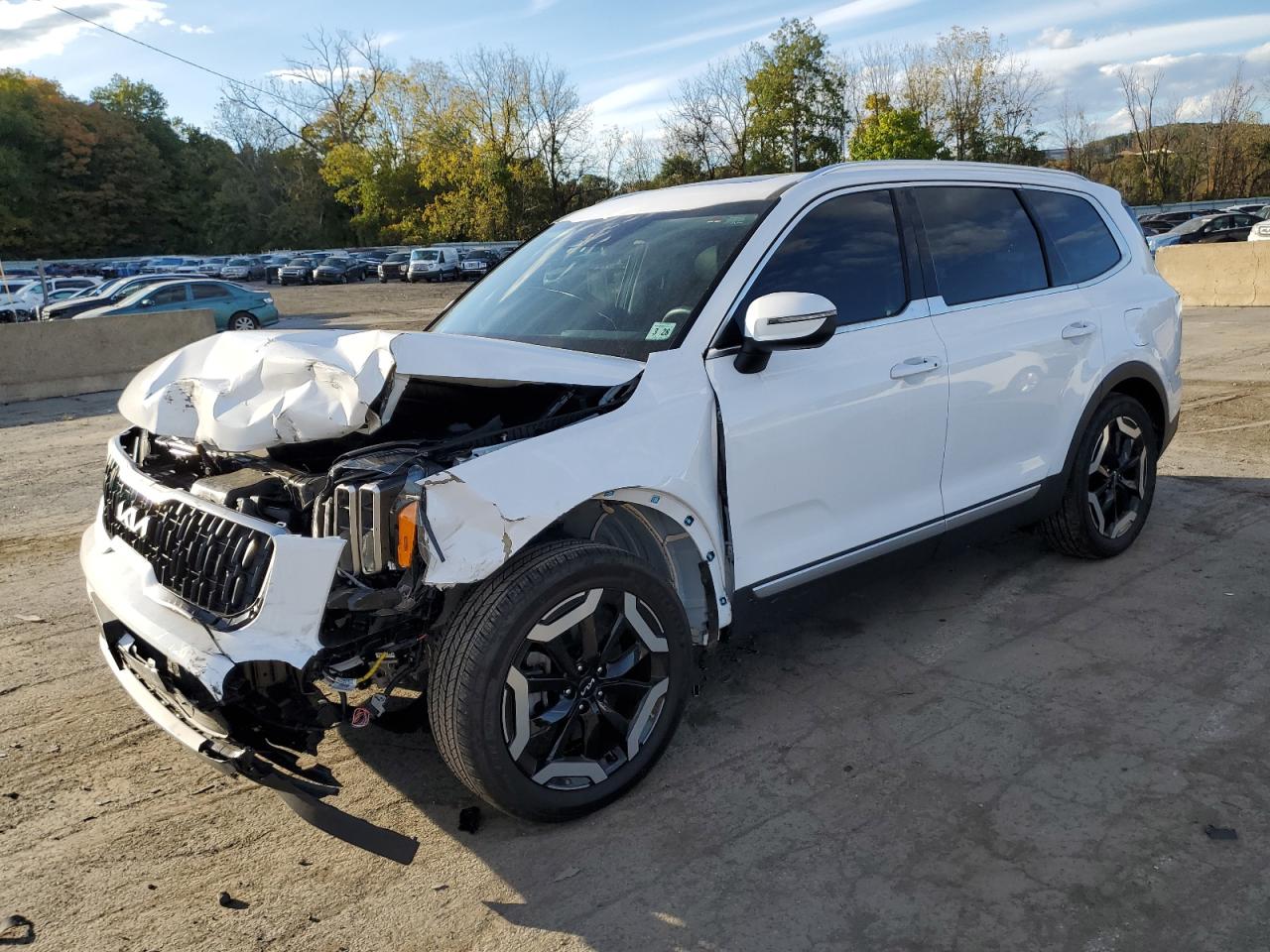 Salvage Kia Telluride Image