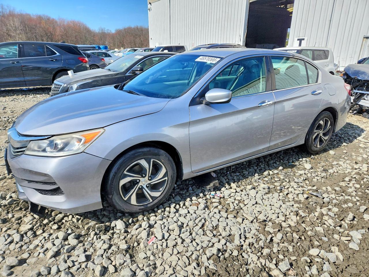 Salvage Honda Accord Image