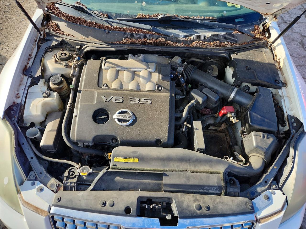 Nissan Maxima 3.5 Se