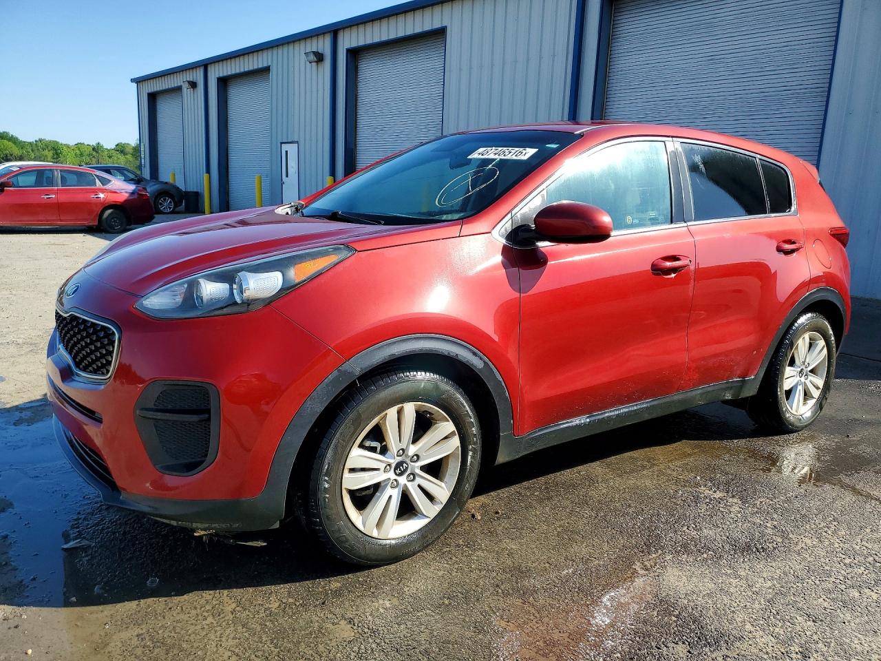 Salvage Kia Sportage Image