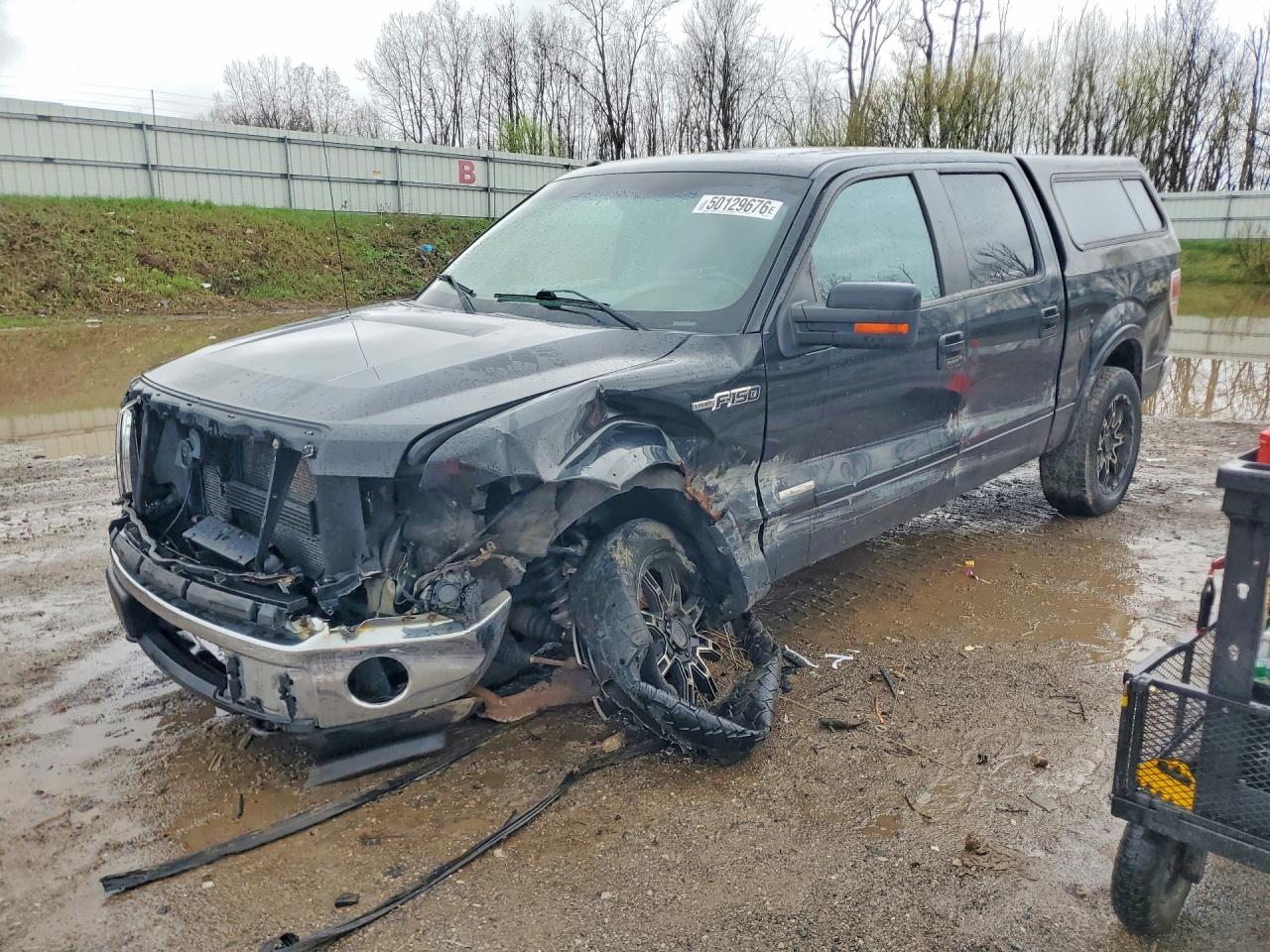 Salvage Ford F-150 Image