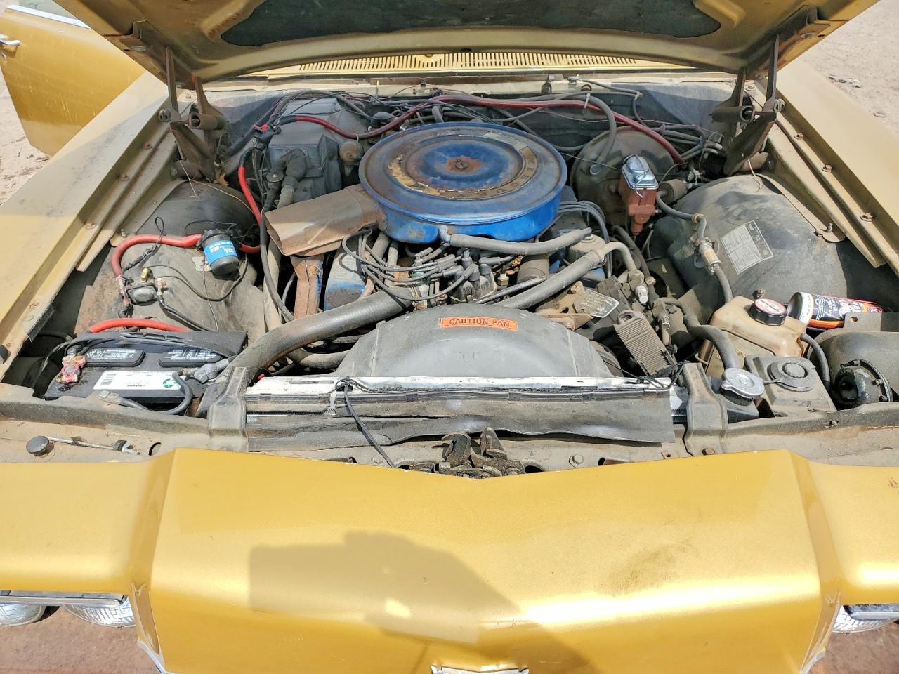Mercury Grmarquis
