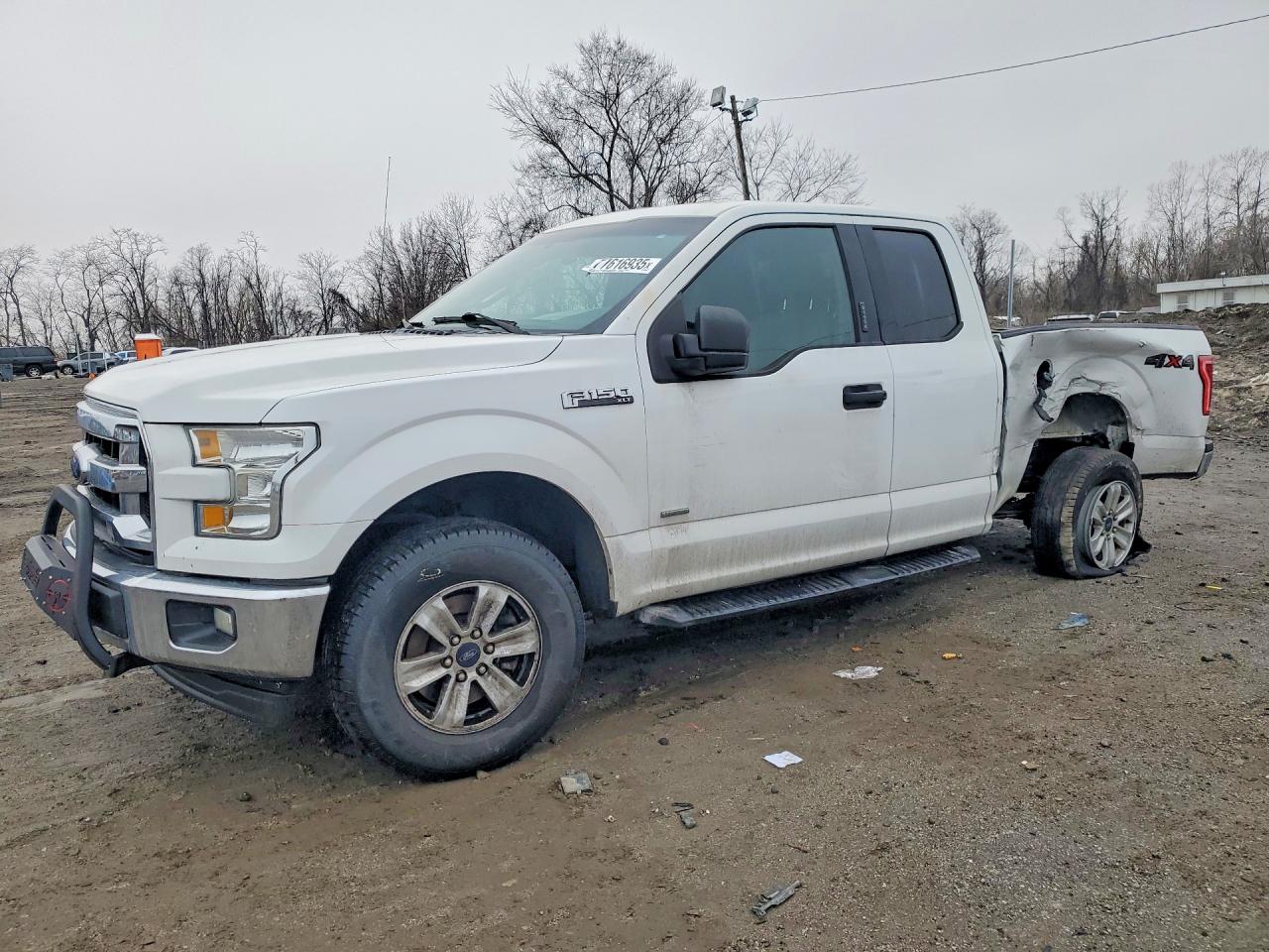 Salvage Ford F-150 Image