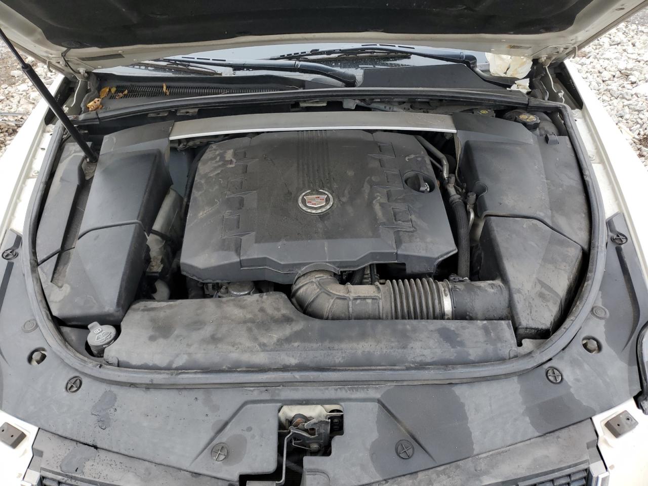 Cadillac CTS Performance Collection