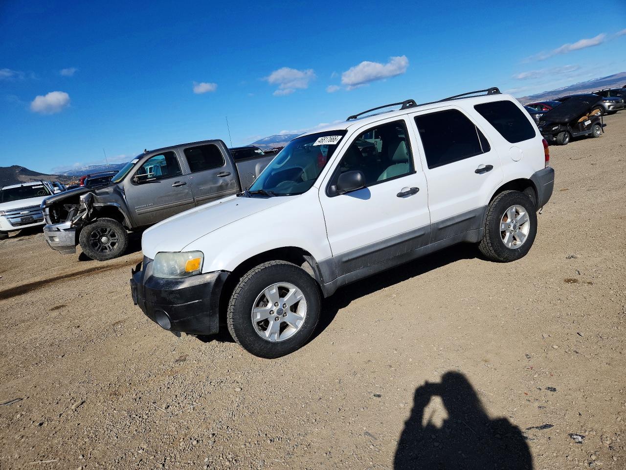 Salvage Ford Escape Image
