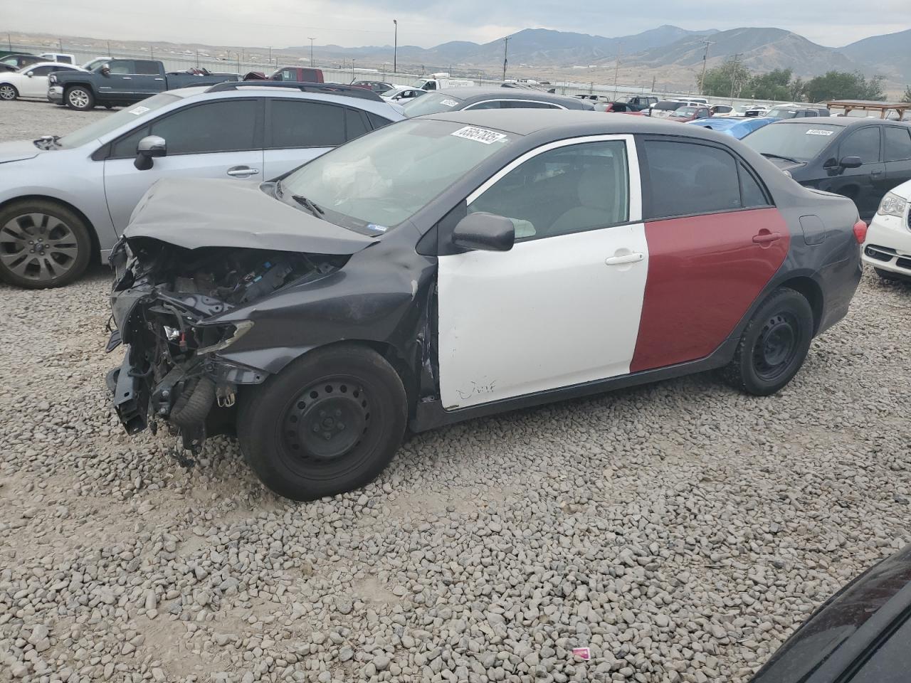 Salvage Toyota Corolla Image