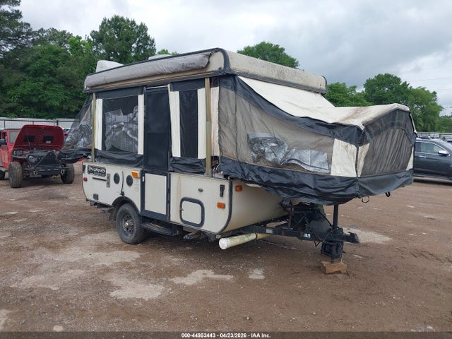 Salvage Palomino Bas Image