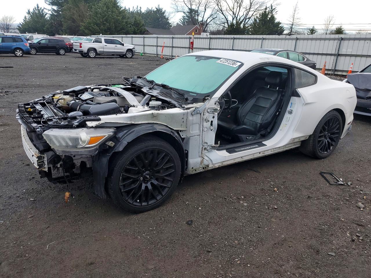 Salvage Ford Mustang Image