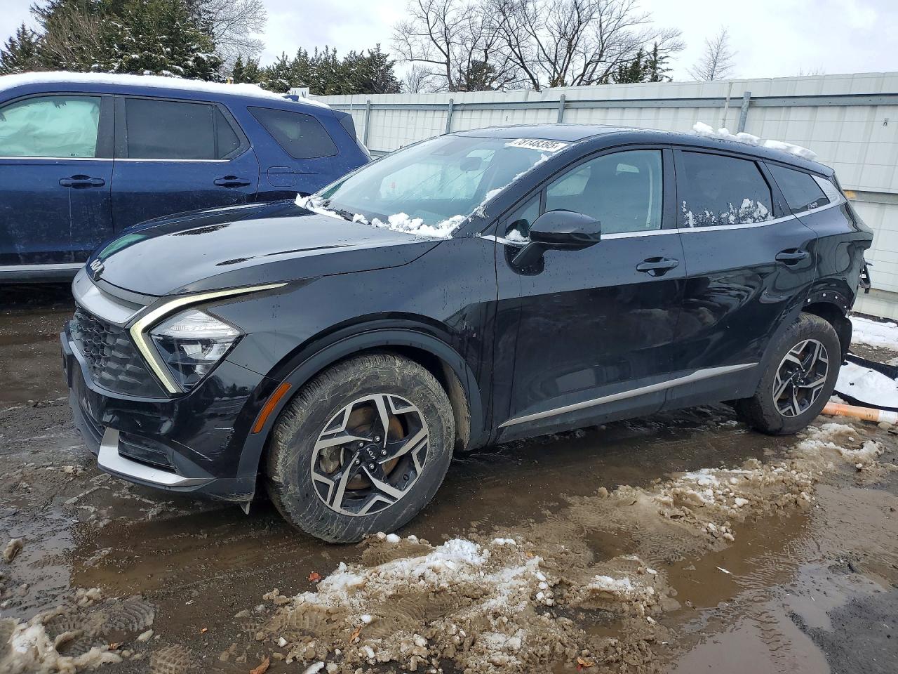 Salvage Kia Sportage Image