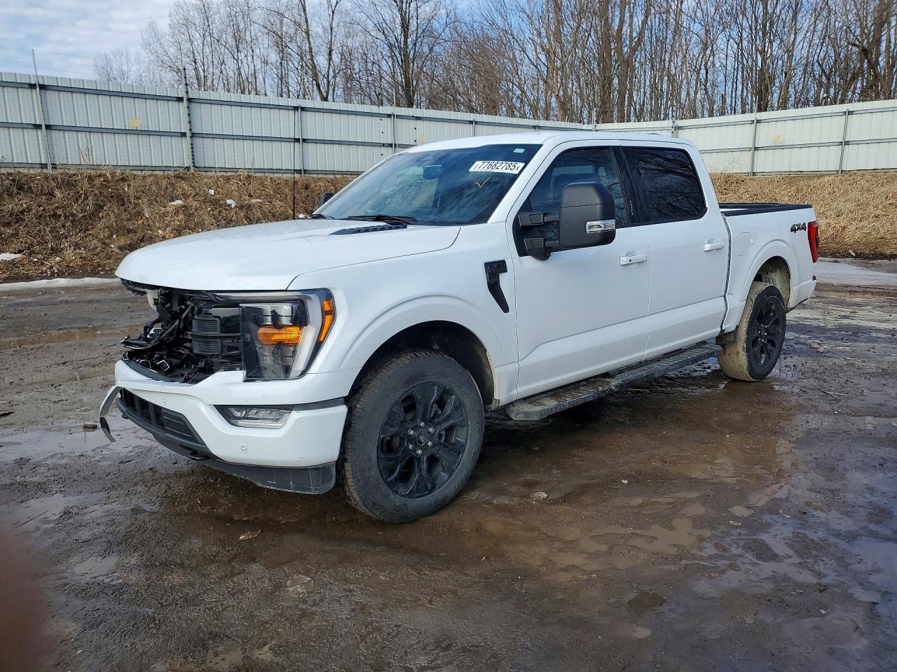 Salvage Ford F-150 Image