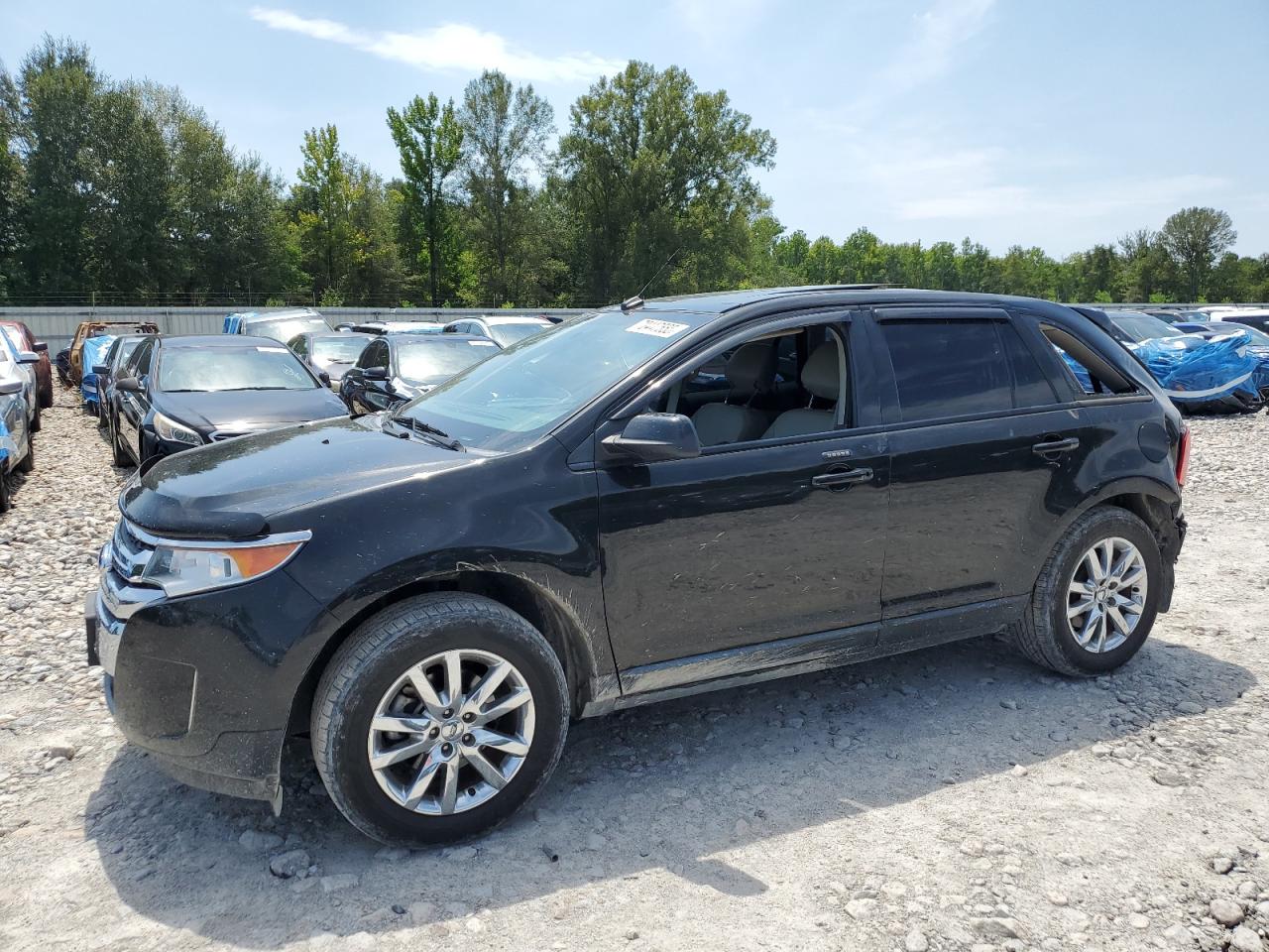 Salvage Ford Edge Image