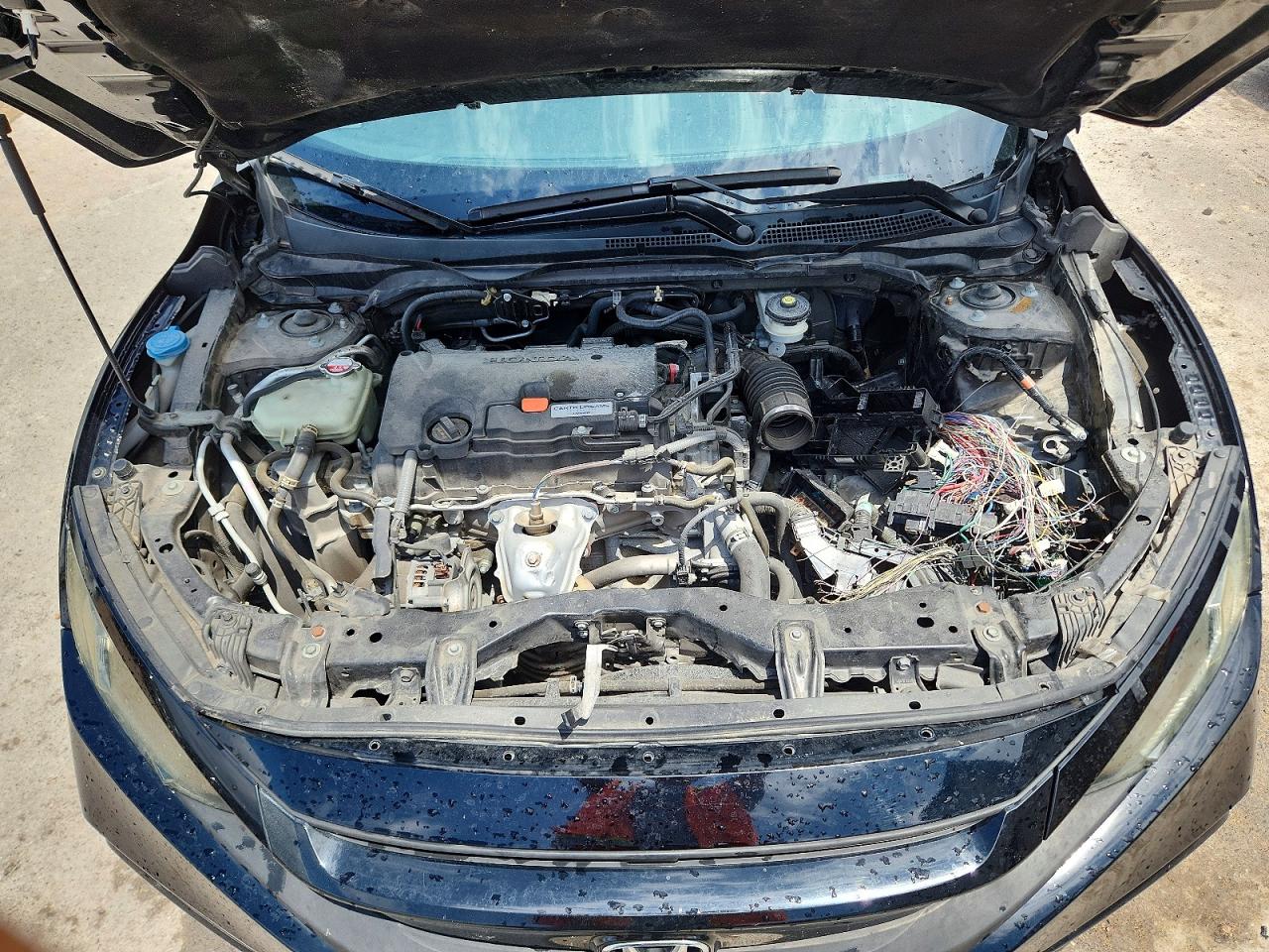 Honda Civic Sport
