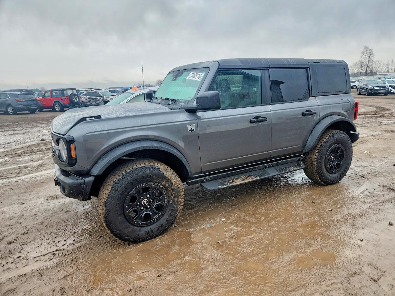 Salvage Ford Bronco Image
