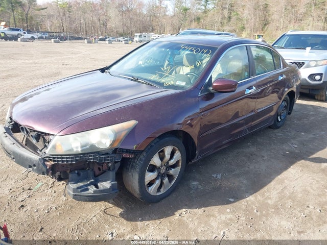 Honda Accord 3.5 Ex-l