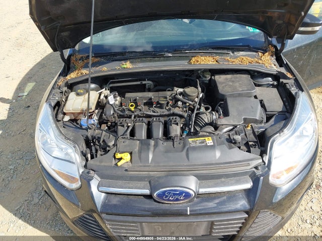 Ford Focus Se