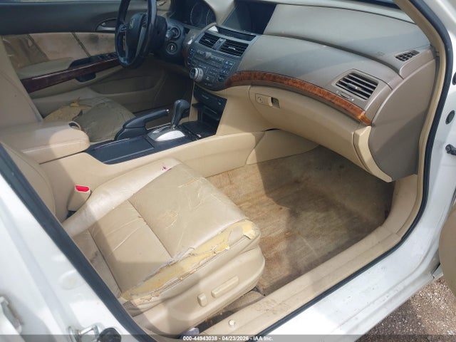 Honda Accord 3.5 Ex-l