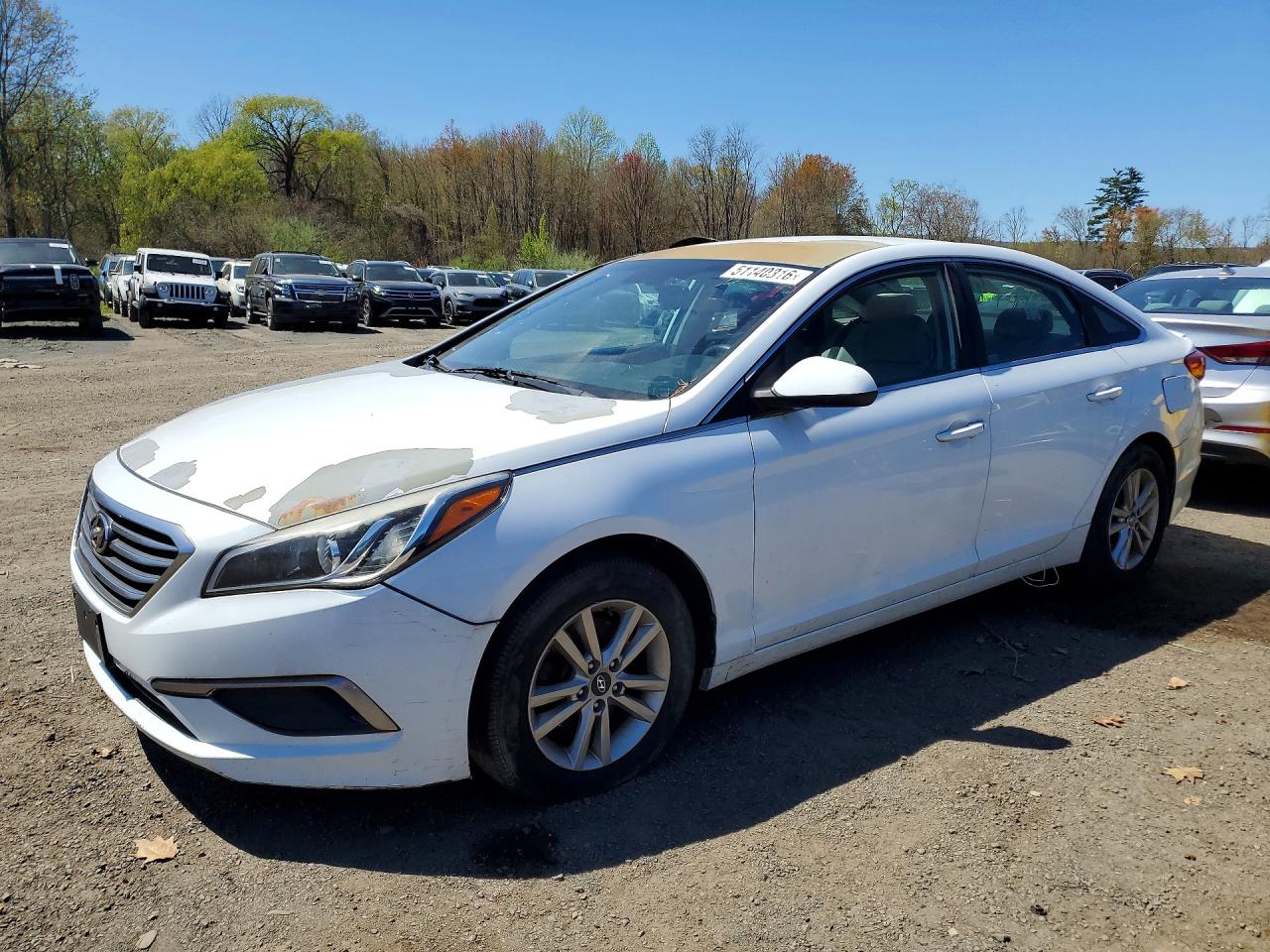 Salvage Hyundai SONATA Image