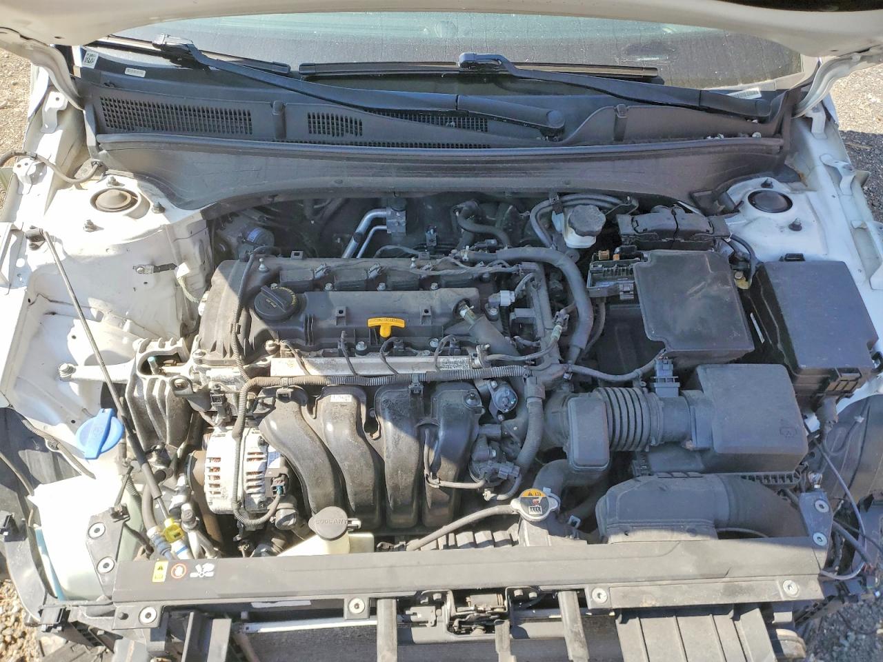 Kia Forte Lxs