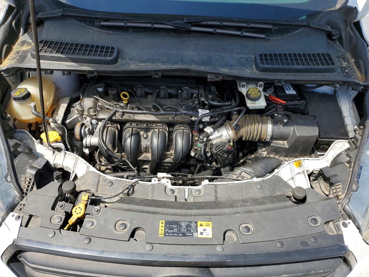 Ford Escape S