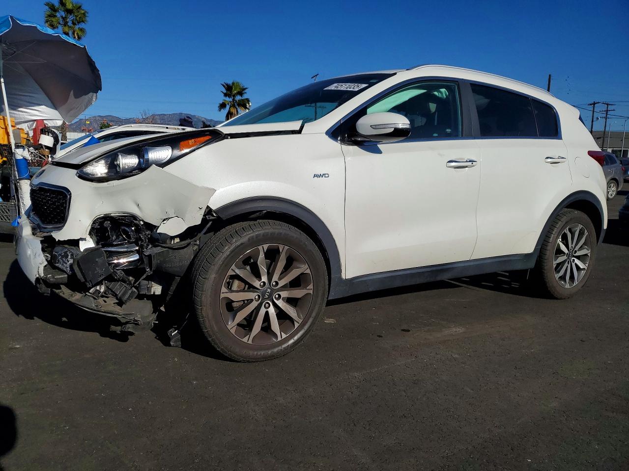 Salvage Kia Sportage Image