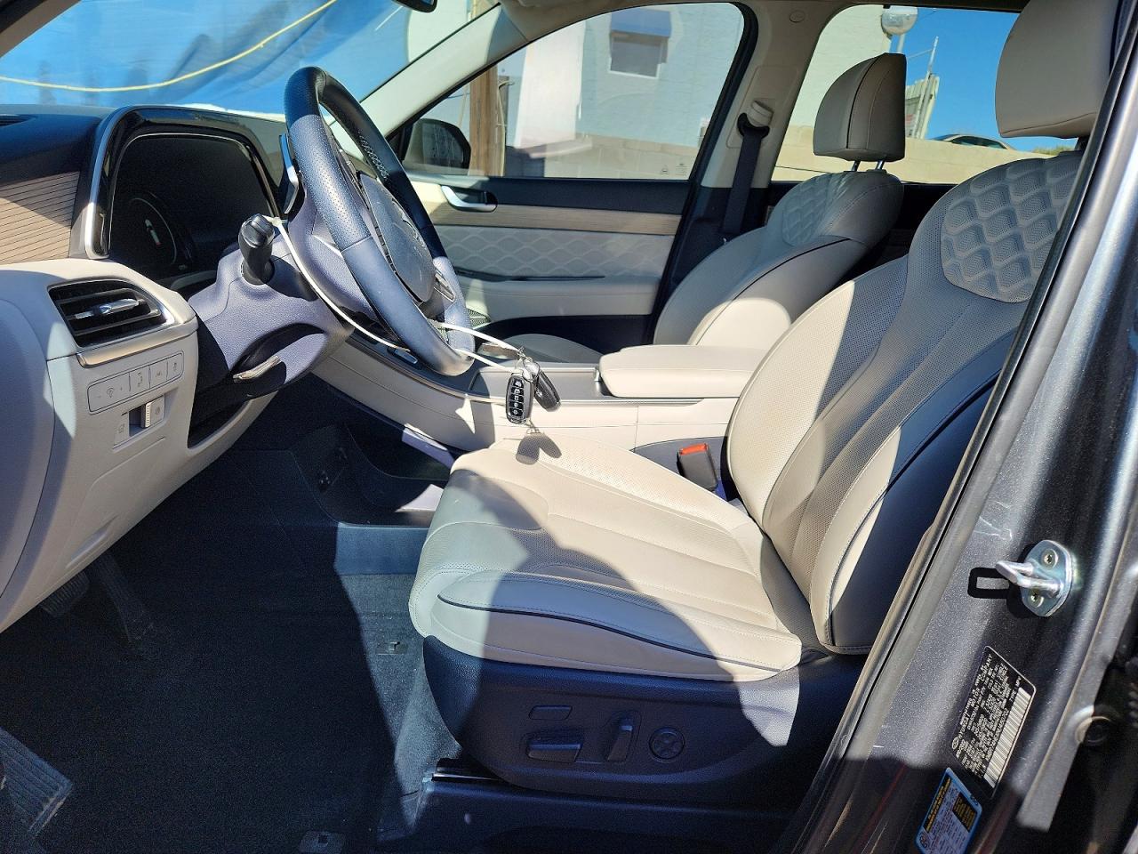 Hyundai PALISADE Calligraphy