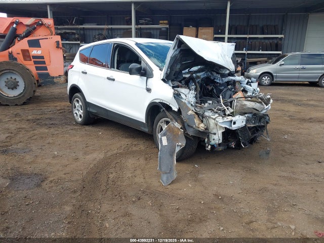 Salvage Ford Escape Image