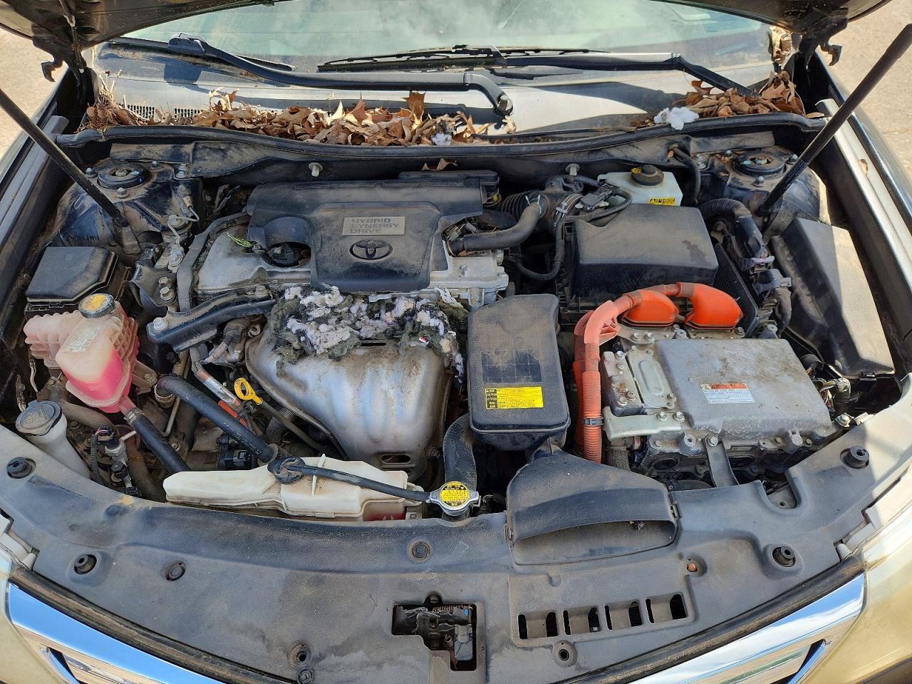 Toyota Camry Xle