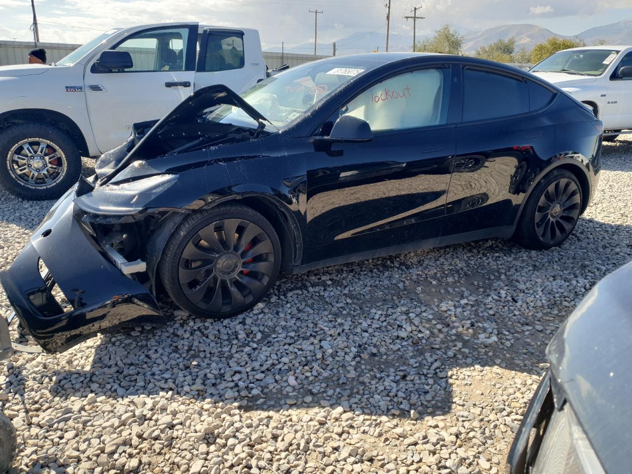 Salvage Tesla Model Y Image